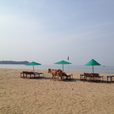 Goa, die unendliche Leichtigkeit des Seins