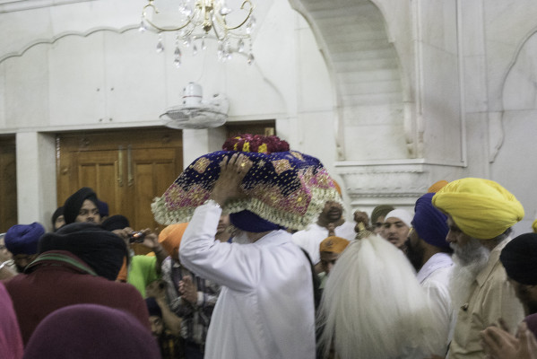 Blumen für das Buch
