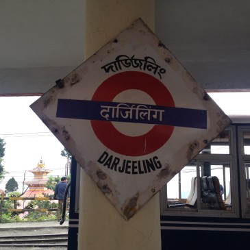 Back to India – Tee trinken in Darjeeling