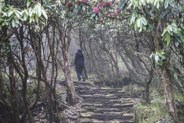 Aufstieg zum Poonhill