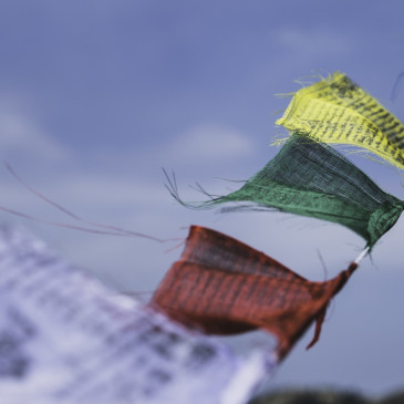 Rauf auf den Poon Hill , ein kleines Trekking-Abenteuer